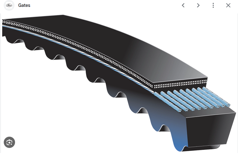 CORREAS TRAPEZOIDALES